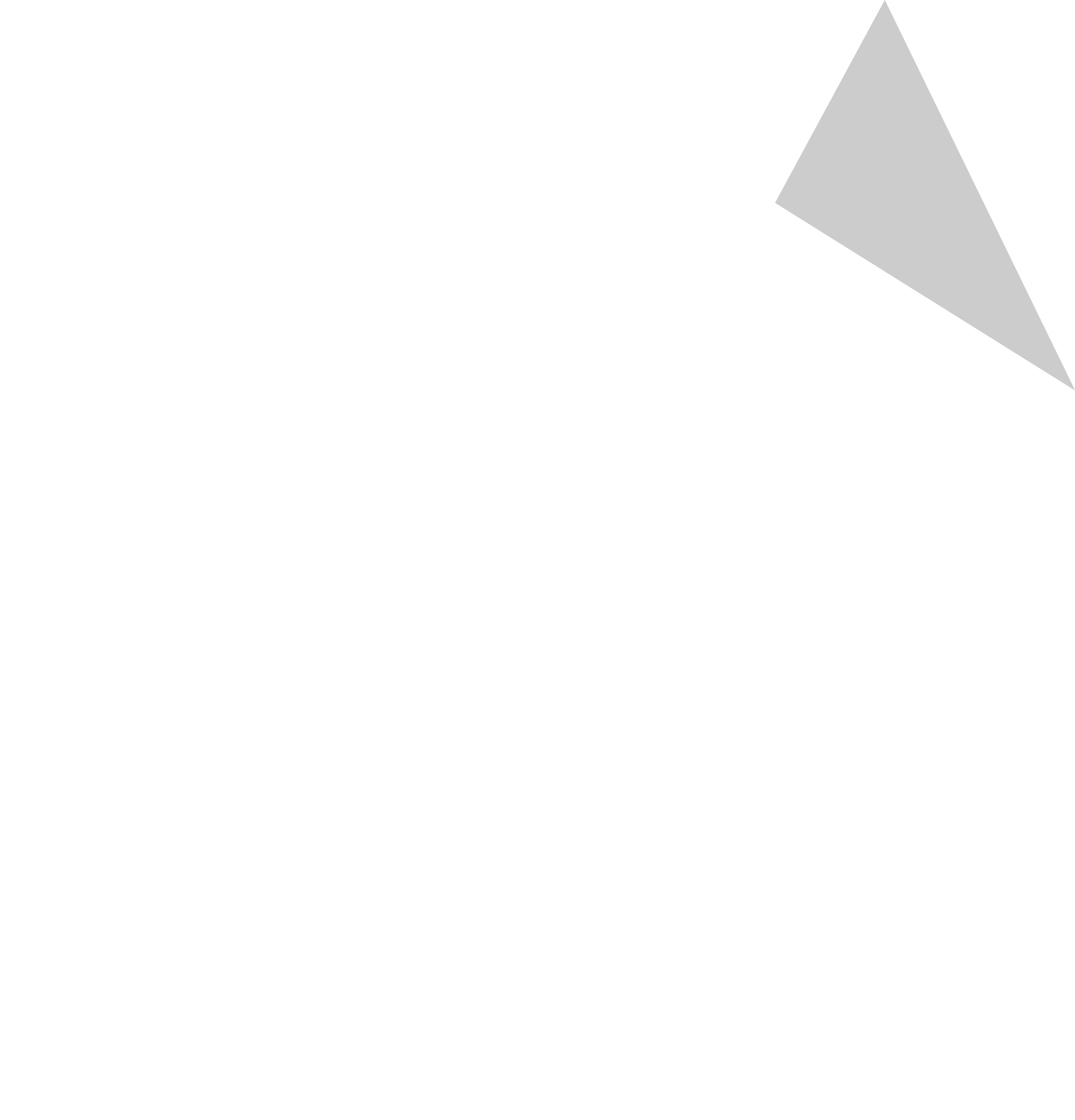 Brand South Australia Logo